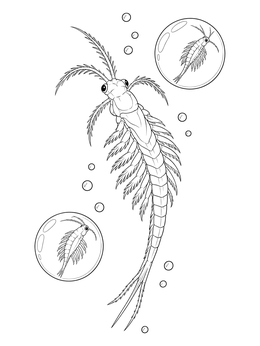 Free printable Sea Monkey Swimming With Bubbles coloring page