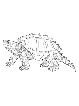 A realistic snapping turtle coloring page showing textured scales, sharp claws, and a spiked shell.