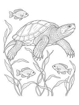 Detailed snapping turtle coloring page featuring small fish and aquatic plants in a pond.