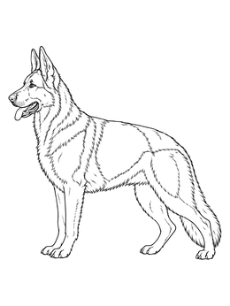 A detailed german shepherd coloring page showing an alert dog standing in full-body profile.