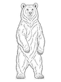 A realistic bear coloring page featuring a grizzly standing upright on its hind legs.