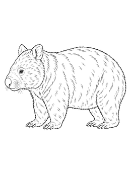 Detailed wombat coloring page showing the marsupial standing in side view.