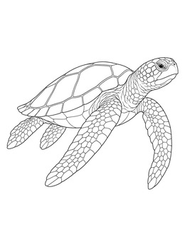 Detailed sea turtle coloring page showing a realistic turtle swimming with textured scales.
