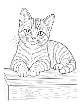 A realistic kitten coloring page featuring a striped domestic shorthair resting on a wooden step.