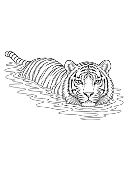 A realistic tiger coloring page showing a tiger wading peacefully through gentle water ripples.