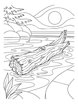 A realistic waterfall coloring page featuring a textured cedar log floating peacefully in a mountain pool.