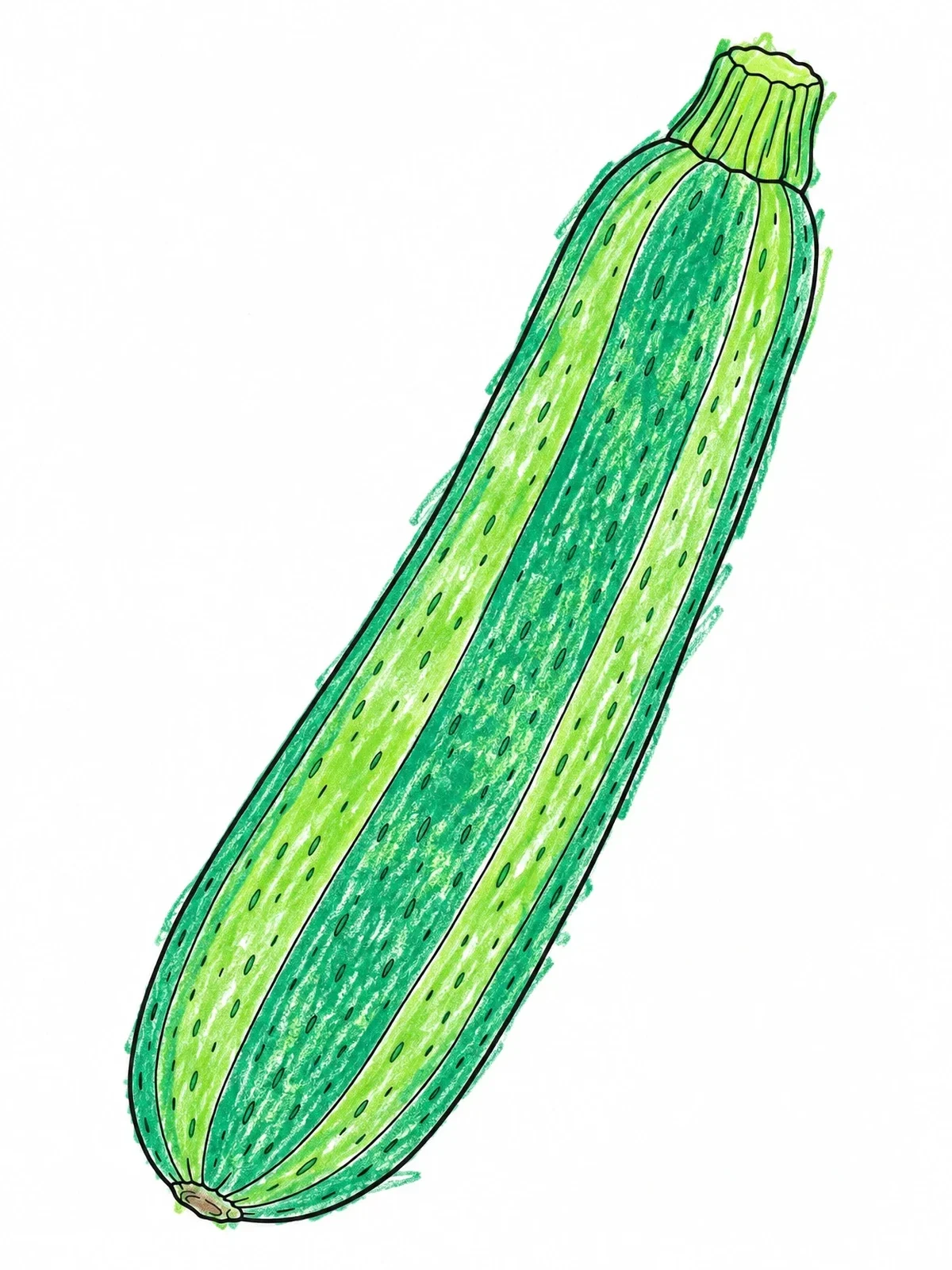 Colored example of the Realistic Whole Zucchini Squash coloring page