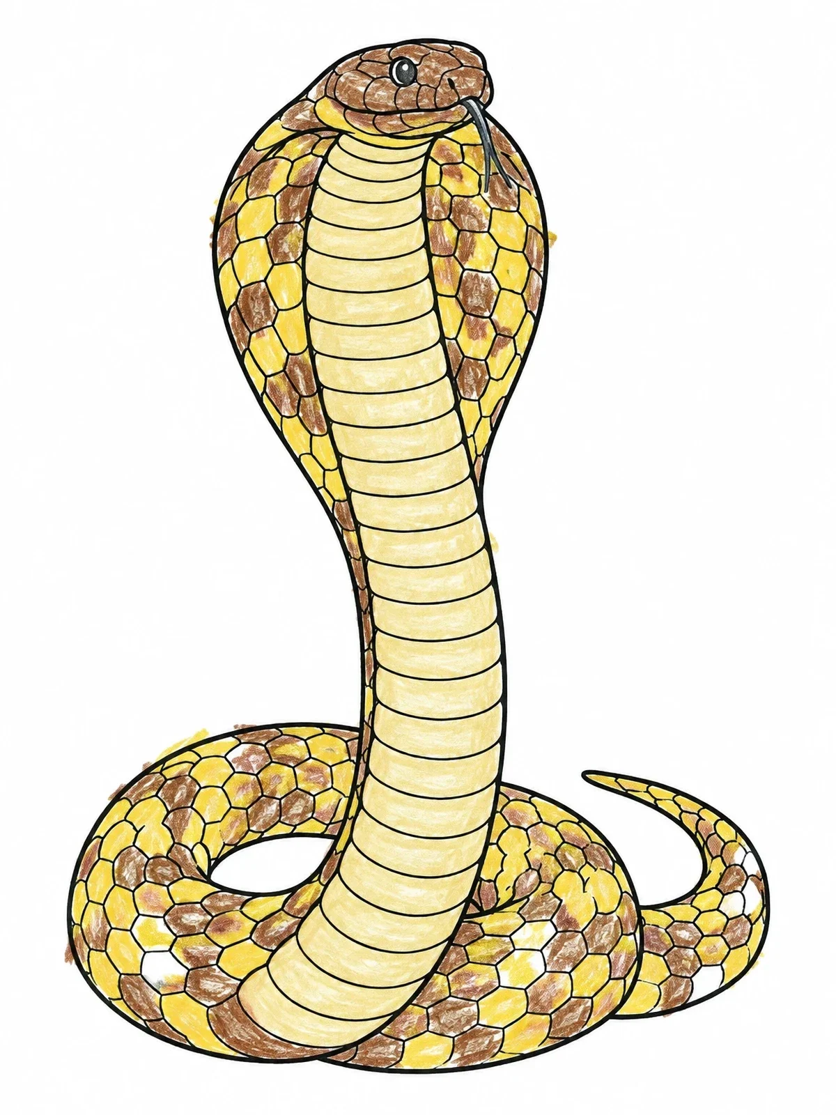 Colored example of the Rearing Cobra With Expanded Hood coloring page