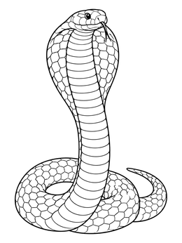 Detailed cobra coloring page showing a rearing snake with an open hood.