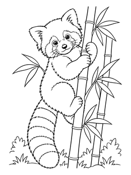 A cute red panda coloring page showing the animal climbing up a tall bamboo stalk.