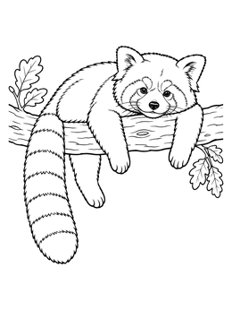 A peaceful red panda coloring page showing the animal lounging on a tree limb with dangling paws.