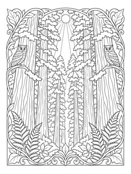 Detailed redwood forest mural coloring page framed with decorative foliage and perched owls.