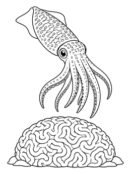 A reef squid swims over textured brain coral in this squid coloring page.