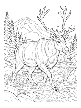 A detailed reindeer coloring page wading through a rushing mountain river.