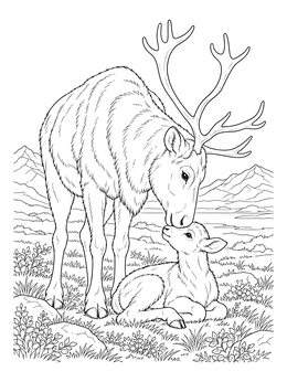 A realistic reindeer coloring page depicting a gentle mother nuzzling her resting calf in the tundra.