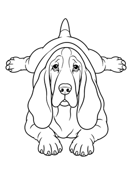 Free printable Relaxed Basset Hound Splooting coloring page