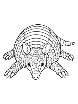 Detailed armadillo coloring page showing the animal resting flat on the ground from a front view.