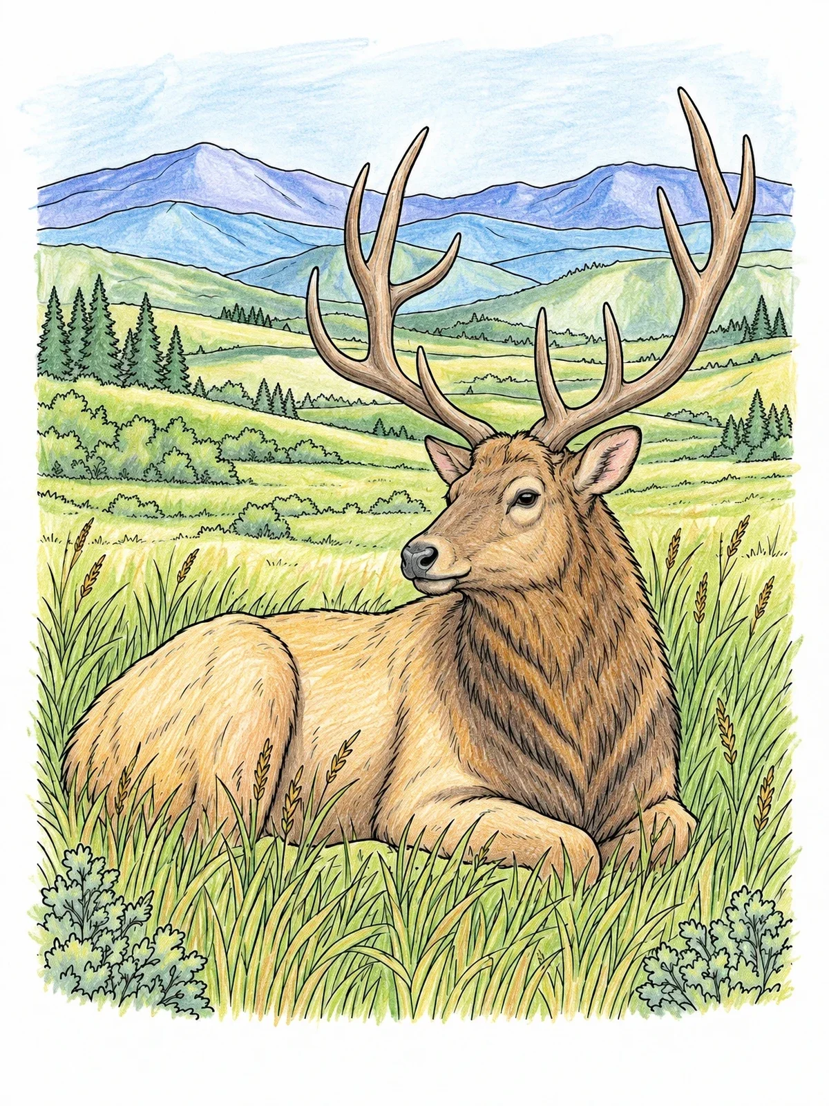 Colored example of the Bull Elk Resting In Foothills coloring page