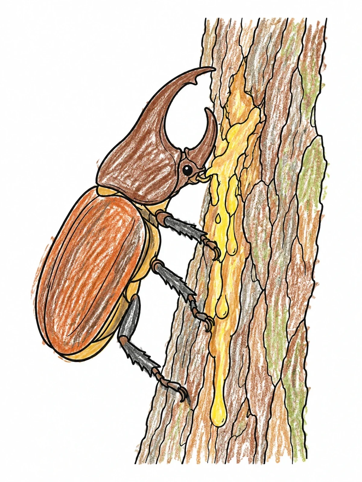 Colored example of the Rhinoceros Beetle On Tree Trunk coloring page