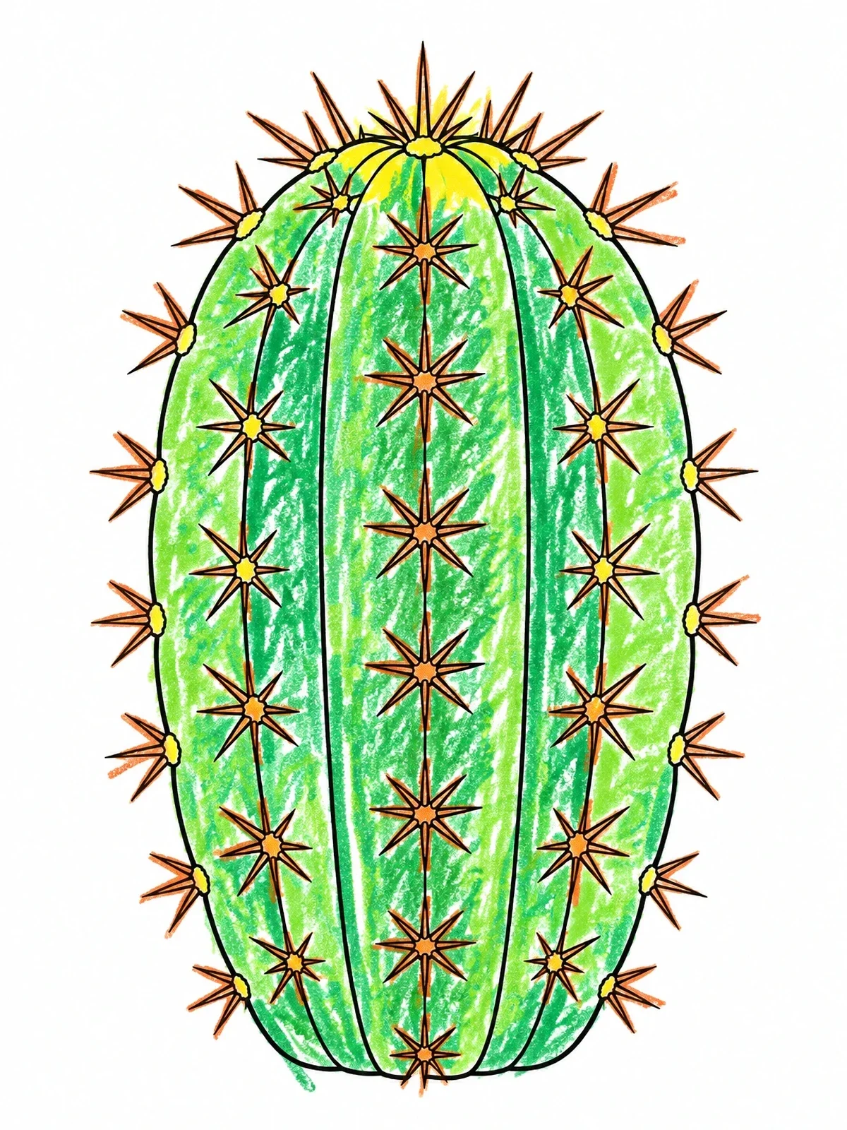 Colored example of the Ribbed Barrel Cactus With Star Spines coloring page
