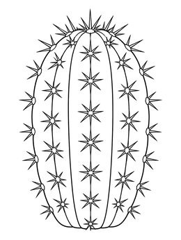 A symmetrical barrel cactus coloring page featuring ribbed segments and sharp star-shaped thorns.