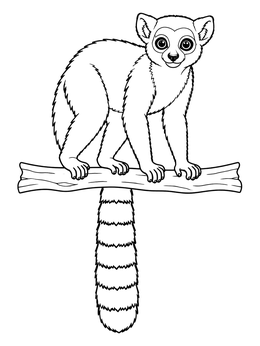 Free printable Ring Tailed Lemur On A Branch coloring page