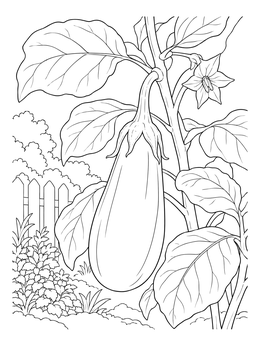 A detailed eggplant coloring page showing the vegetable growing on a vine near a garden fence.