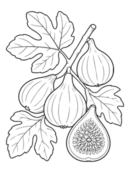 A detailed tu bishvat coloring page featuring ripe figs on a branch with a fruit cross-section.