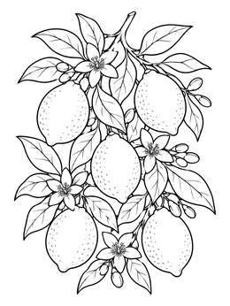 A branch full of ripe fruit and blossoms features in this lemons coloring page.