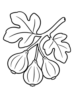 Free printable Ripening Figs On A Branch coloring page