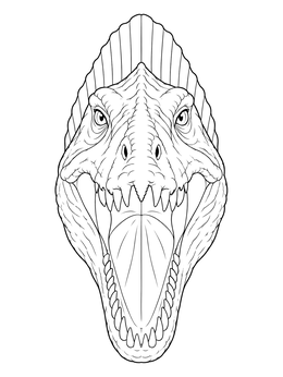 A detailed spinosaurus coloring page showing a front view of the dinosaur with open jaws.