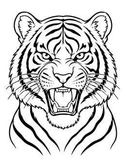 A fierce roaring tiger coloring page with sharp teeth and clear stripes.