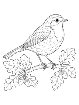 A detailed robin coloring page showing a songbird perched on an oak branch with acorns.
