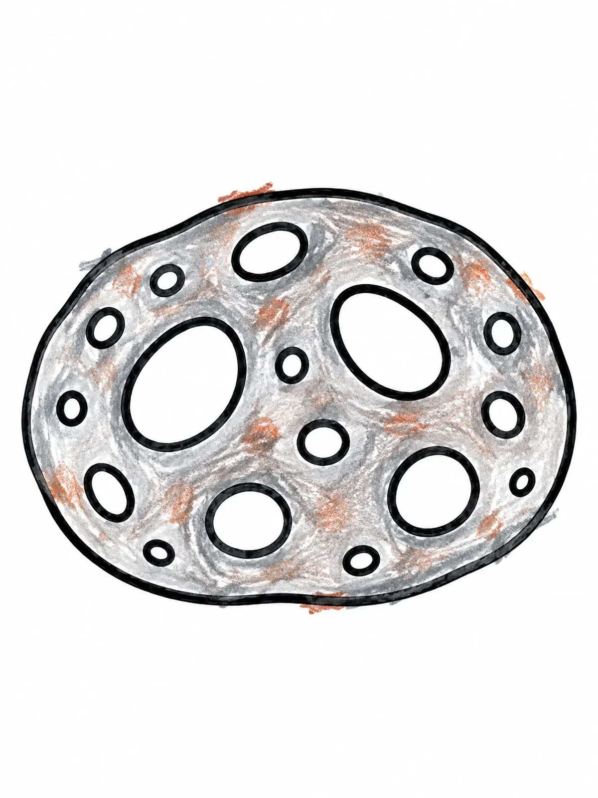 Colored example of the Simple Porous Pumice Stone coloring page