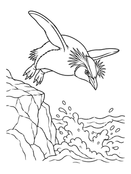 A dynamic rockhopper penguin coloring page showing the bird diving from a rocky cliff into ocean waves.