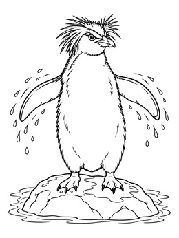 A spiky-crested rockhopper penguin coloring page showing the bird standing on a wet rock and shaking water drops.