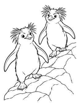 Free printable Two Rockhopper Penguins On Rocks coloring page