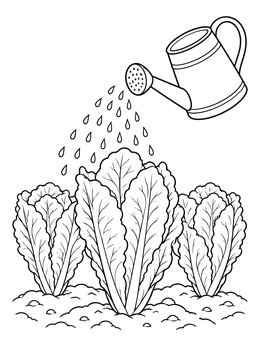 Romaine lettuce coloring page featuring garden plants being watered with a classic watering can.
