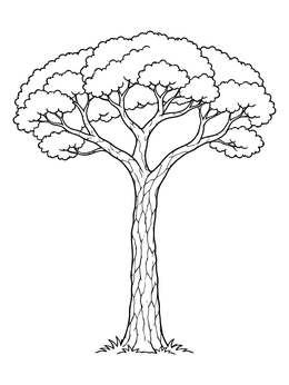 Free printable Roman Stone Pine Tree coloring page