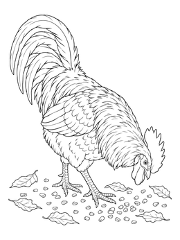 A detailed rooster coloring page showing the bird pecking at grain among dry leaves.