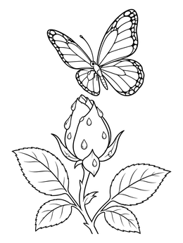 A butterfly flutters over a dewy flower in this roses coloring page.