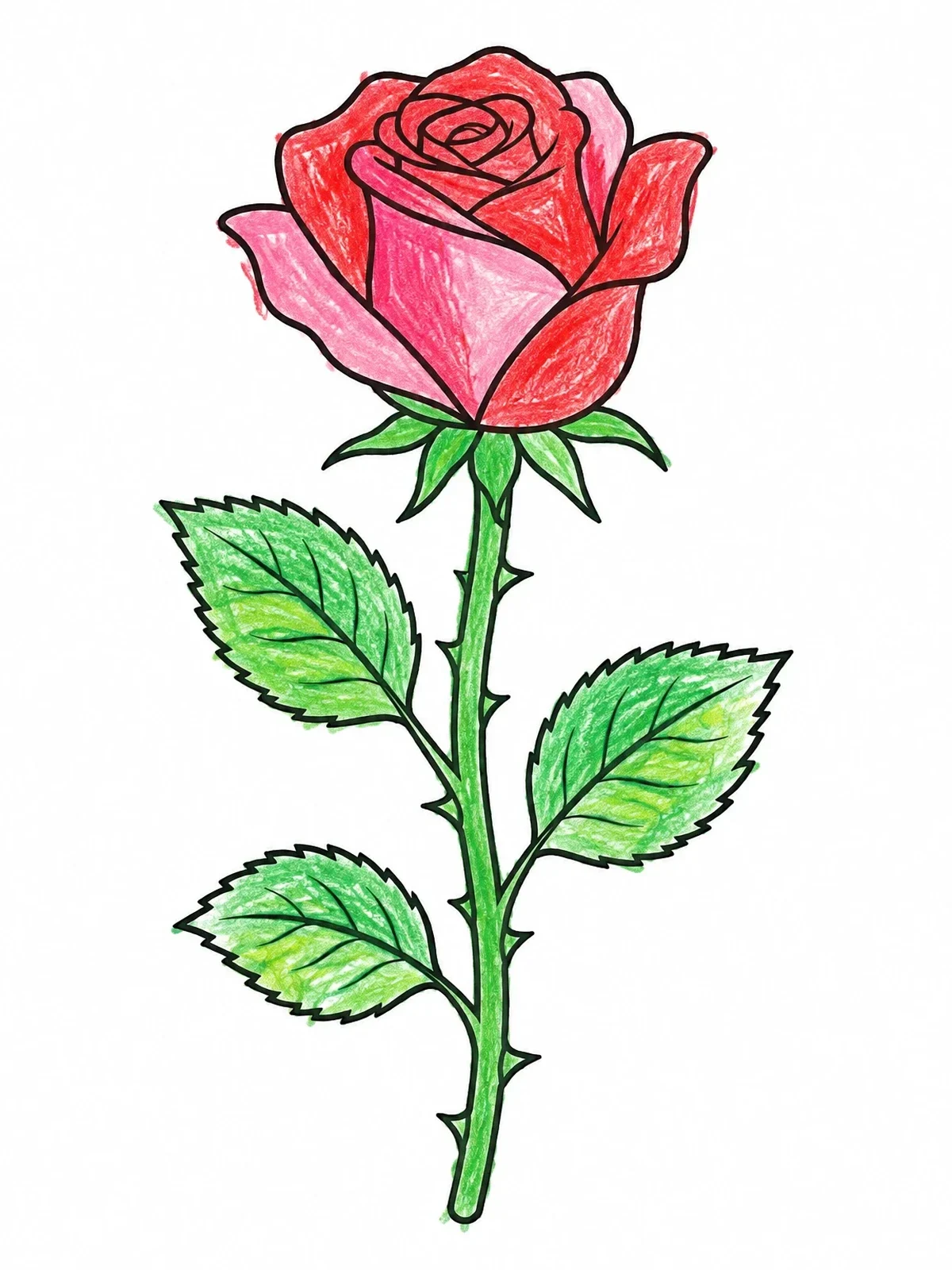 Colored example of the Single Blooming Rose On Stem coloring page