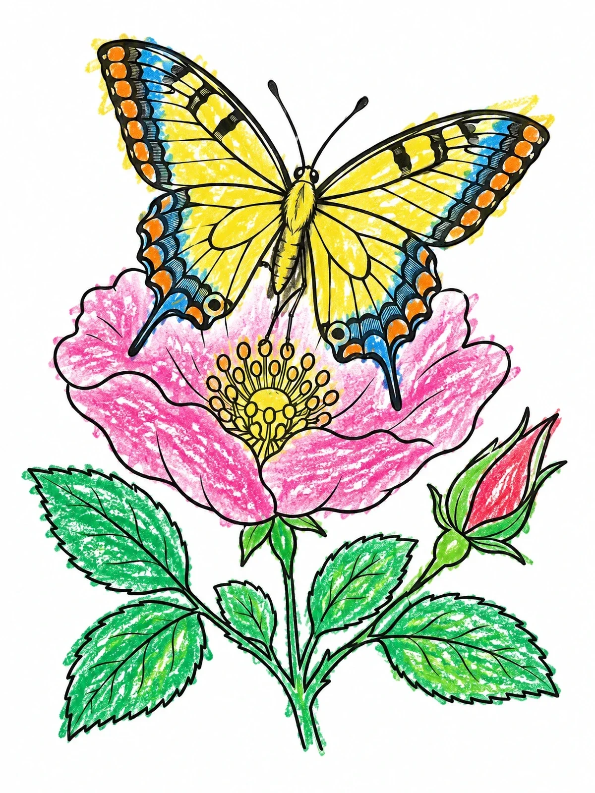 Colored example of the Butterfly On Wild Rose Blossom coloring page