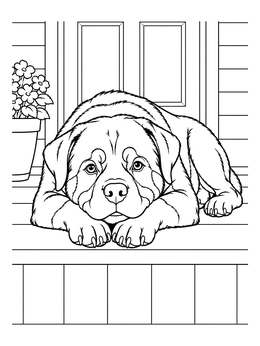 Free printable Rottweiler Resting On The Front Porch coloring page