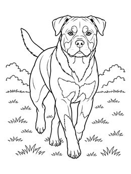 Free printable Rottweiler Walking In The Park coloring page