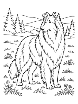 A majestic rough collie coloring page standing gracefully in a flower-filled meadow.