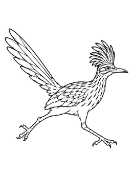 A running greater roadrunner features on this lively desert coloring page.