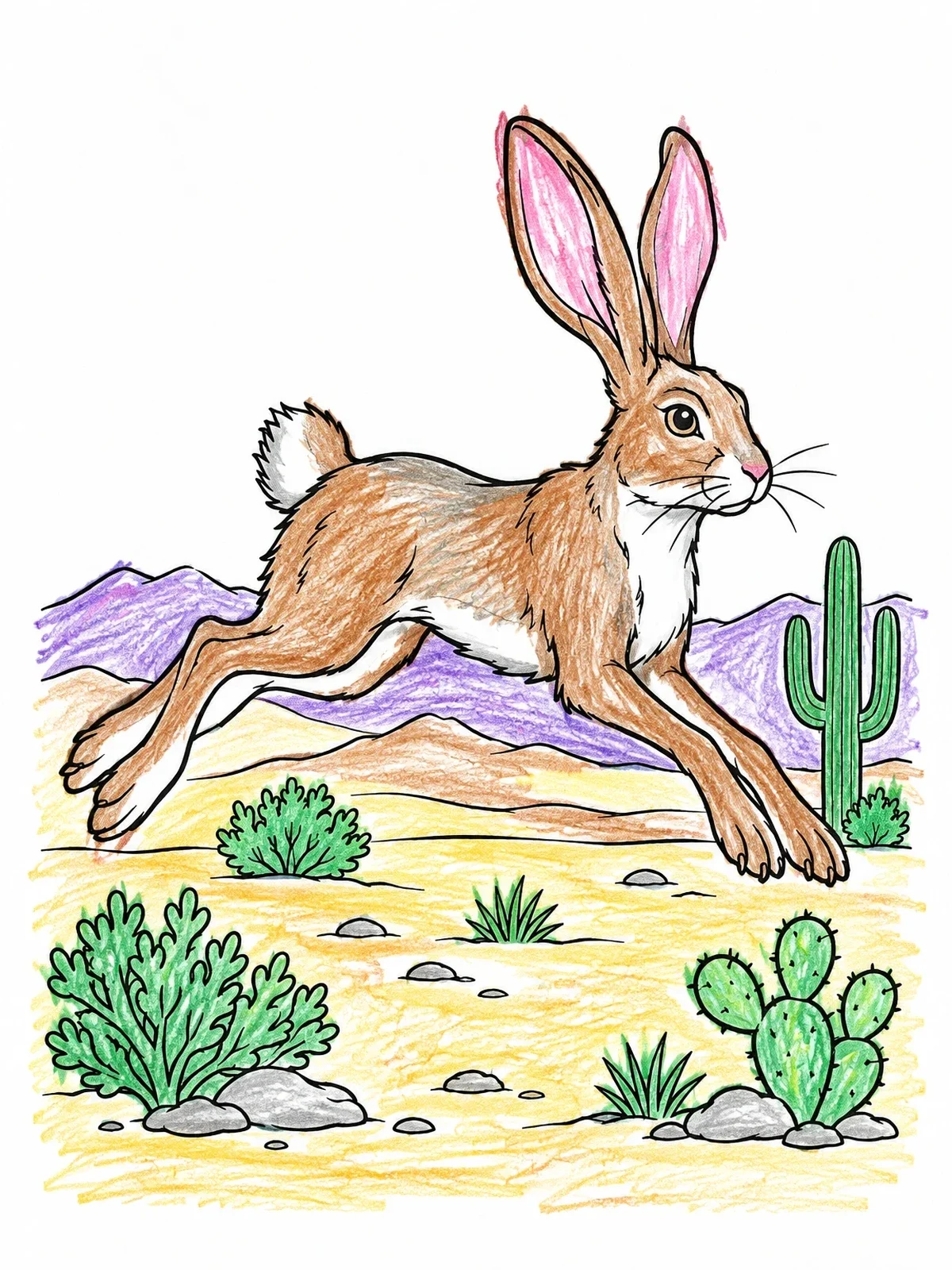 Colored example of the Jackrabbit Leaping Across The Desert coloring page