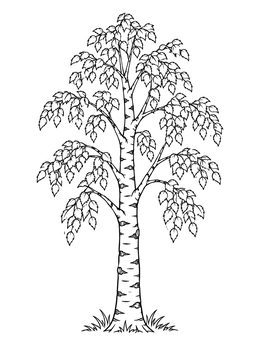 A detailed birch tree features on this russia coloring page.