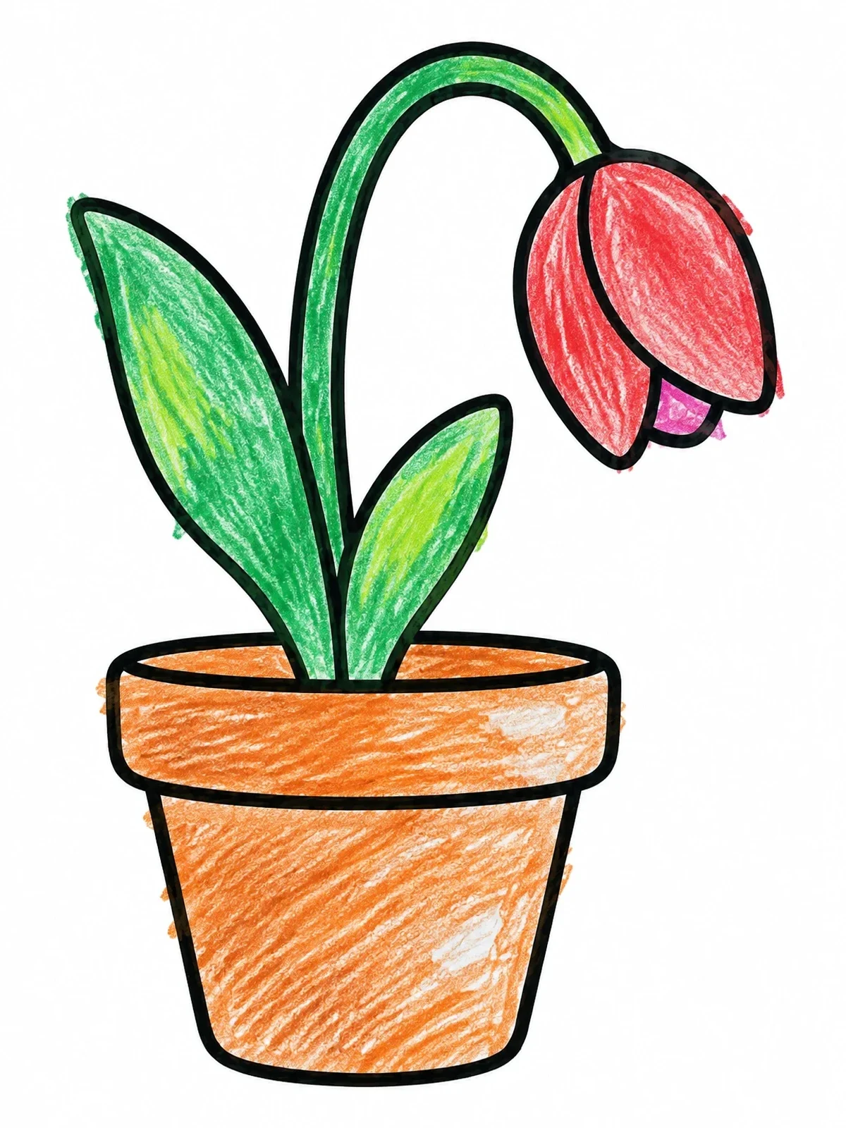 Colored example of the Drooping Tulip In A Flowerpot coloring page